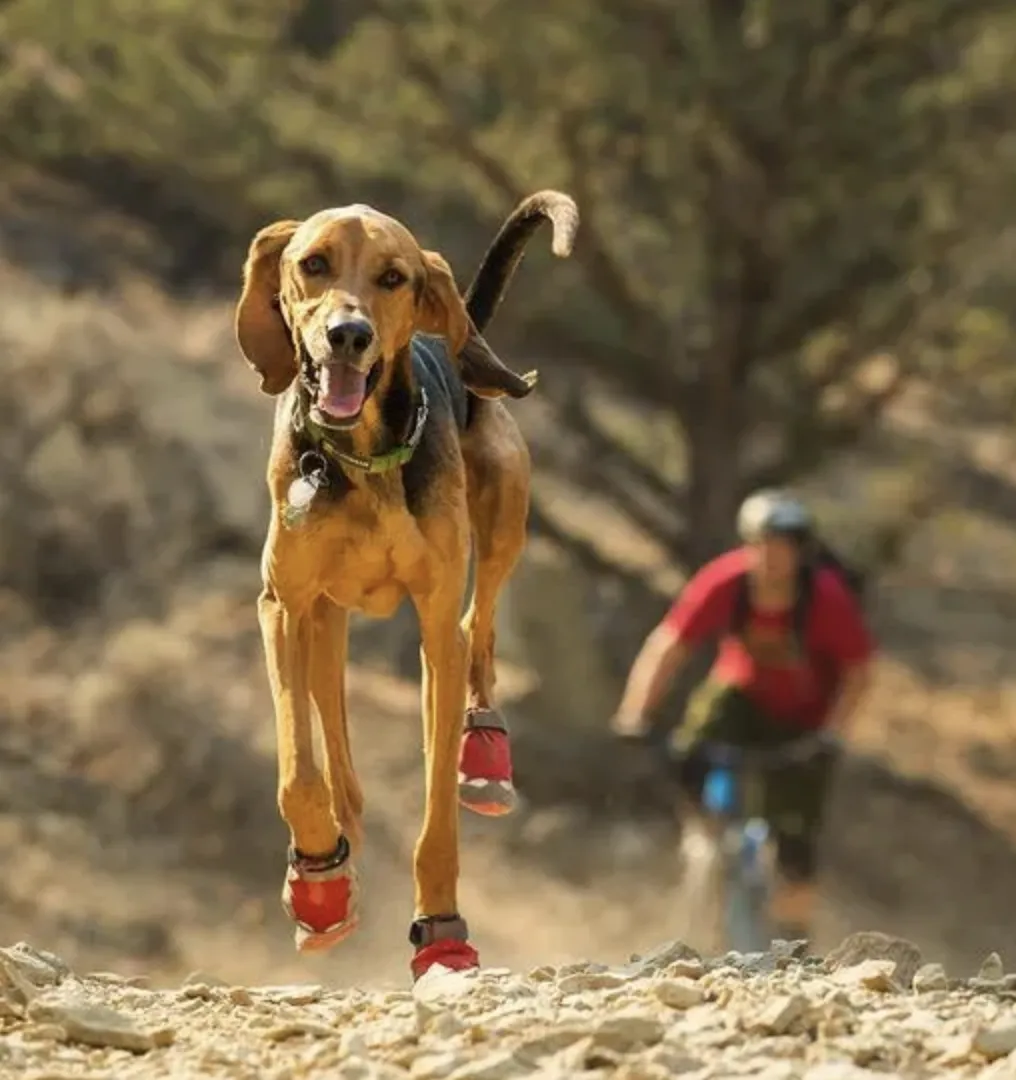 Ruffwear Grip Trex Obsidian Black